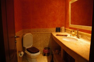 The WC on the ground floor